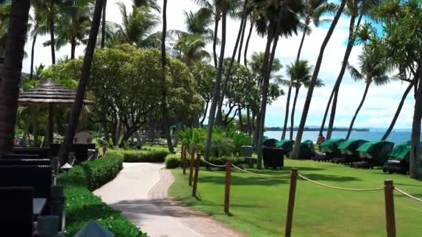 Static Shot Scenic Walking Path Hotel Resort Kaanapali Beach Maui — Vídeos de Stock