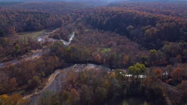 Widok Lotu Ptaka Drzewa Leśne Strumień Jesienią Orbita Drona — Wideo stockowe
