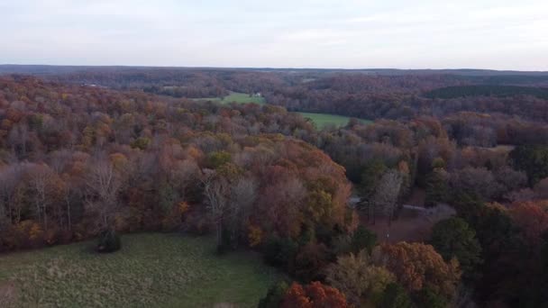 Dichte Waldbäume Auf Dem Land Während Der Herbstsaison Antenne — Stockvideo