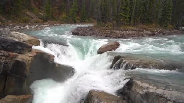 Sunwapta Falls Jasper National Park Alberta Canadá Río Glacial Cañón — Vídeos de Stock