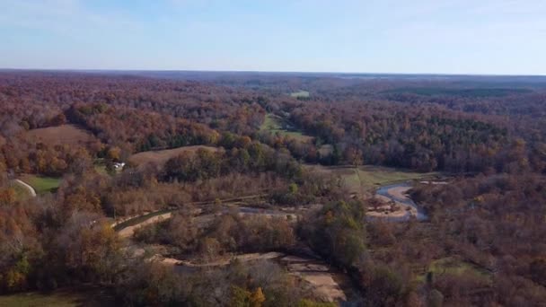 Gebogene Creekbed Erstaunliche Und Lebendige Farben Des Waldes Herbst Luftaufnahme — Stockvideo