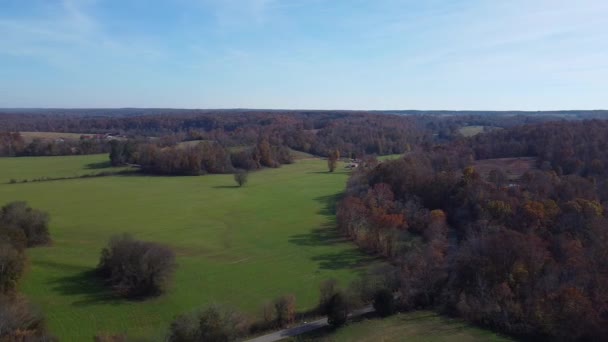 Drzewa Pola Uprawne Malownicza Przyroda Wczesną Jesienią Zdjęcia Dronów Lotniczych — Wideo stockowe