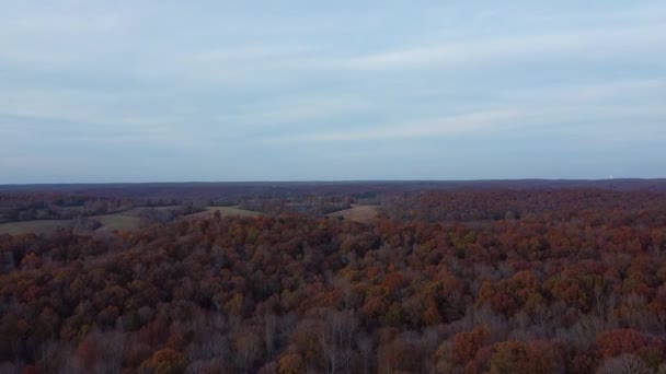 Veduta Aerea Del Paesaggio Foresta Densa Autunno Durante Tramonto Drone — Video Stock