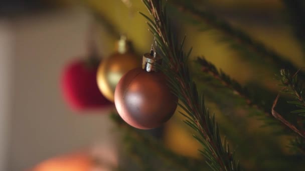 Die Freude Schmücken Des Weihnachtsbaums — Stockvideo