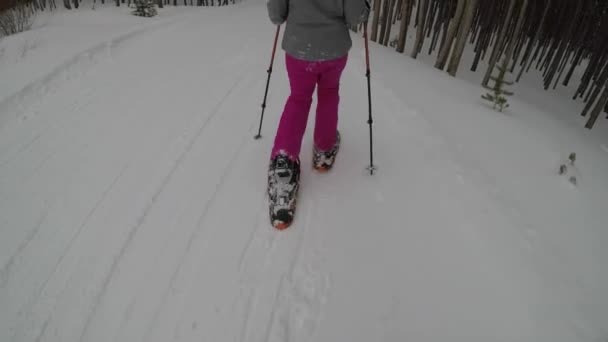 Raquetas Nieve Través Del Bosque Breckenridge Colorado Frío Día Invierno — Vídeos de Stock