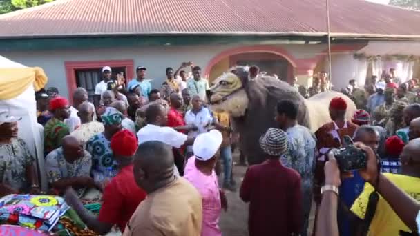 Igbo Land Maskerad Festival Östra Delen Nigeria — Stockvideo