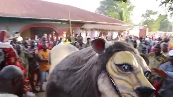 Nijerya Nın Doğu Kesiminde Igbo Kara Maskeli Balosu Festivali — Stok video