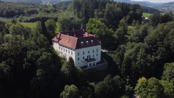Drohne Fliegt Bei Sonnigem Wetter Schloss Vorbei — Stockvideo
