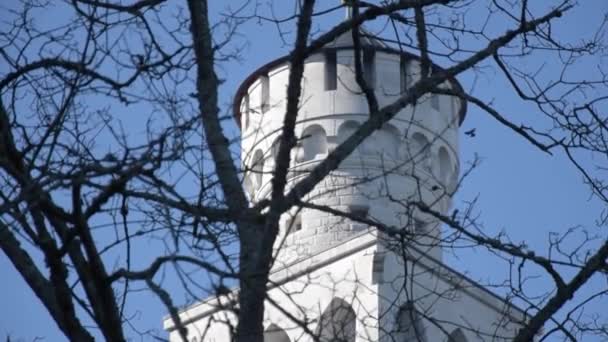 Torre Principal Del Castillo Neuschwanstein Través Algunas Ramas Frío Cielo — Vídeos de Stock