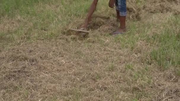 十代の男の子は 強力なガソリンストリングトリマーで牧草地で死んだ生い茂った草を刈ろうとしています ブラシカッター — ストック動画