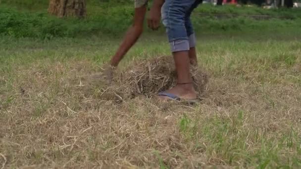 Niño Tratando Limpiar Césped Seco Crecido Muerto Pradera Campo Usando — Vídeo de stock