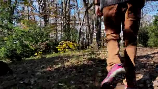 秋の森の中を歩く男の追跡 — ストック動画