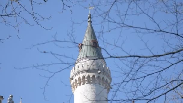 Turm Des Schlosses Neuschwanstein Unter Wolkenlosem Blauem Himmel Vordergrund Bewegen — Stockvideo