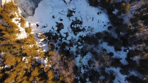 Vista Aérea Giratoria Una Cascada Que Baja Tierra Bosque Pinos — Vídeos de Stock