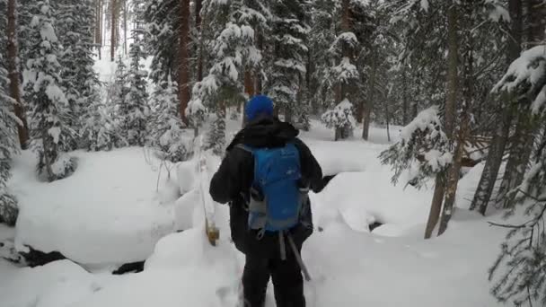 科罗拉多州Breckenridge一座小桥上的雪鞋在寒冷的冬日里穿行 — 图库视频影像
