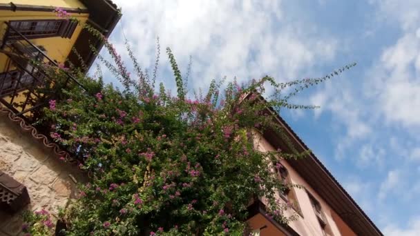 Casas Otomanas Tradicionales Kaleici Centro Antiguo Antalya Turquía Panorámica Tiro — Vídeos de Stock