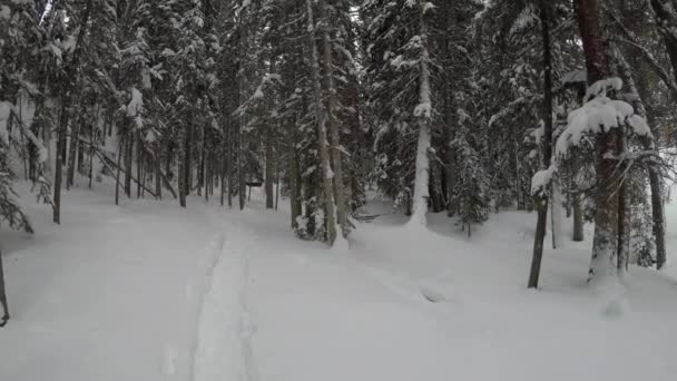 Snöskovandring Längs Skidliften Vid Breckenridge Colorado Klippiga Bergen — Stockvideo