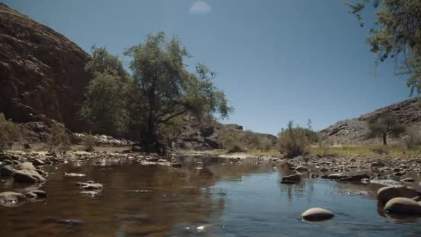 夏の間に背景の木と山でゆっくりと流れているアフリカの川の広い手持ちのショット — ストック動画