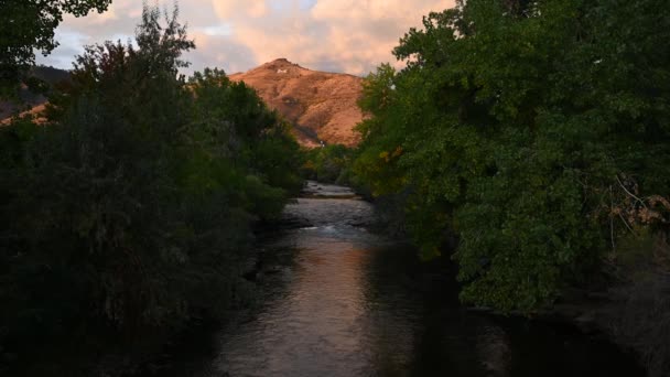 Eau Coulant Long Ruisseau Clear Dans Colorado Doré Pendant Journée — Video