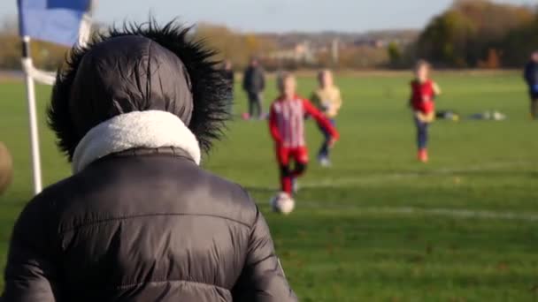 Spectator Watching Group Children Play Sports Field Girls Soccer Team — Stock Video