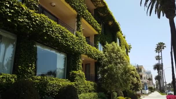 Grüne Kletterpflanzen Der Fassade Eines Mehrfamilienhauses Wohnviertel Von Santa Monica — Stockvideo