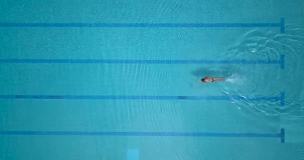 Top pohled na ženu plavání ve volném stylu v olympijském bazénu. letecká statika