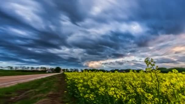 Zeitraffer Des Dunklen Himmels Über Dem Sonnenblumenfeld Himmel Mit Wolken — Stockvideo