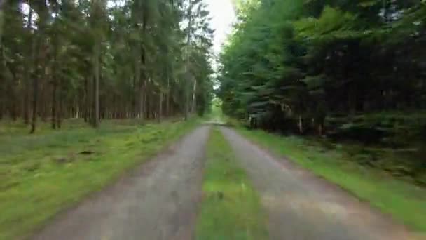 Traveling Road Green Forest Quiet Day Low Aerial — Stock Video