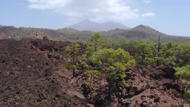 Görkemli Volkanik Manzara Uzak Mesafedeki Teide Volkanı Yükselen Hava Manzarası — Stok video