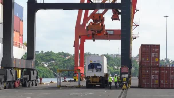 Männer Beim Stapeln Von Containern Industriehafen Von Haina Der Dominikanischen — Stockvideo