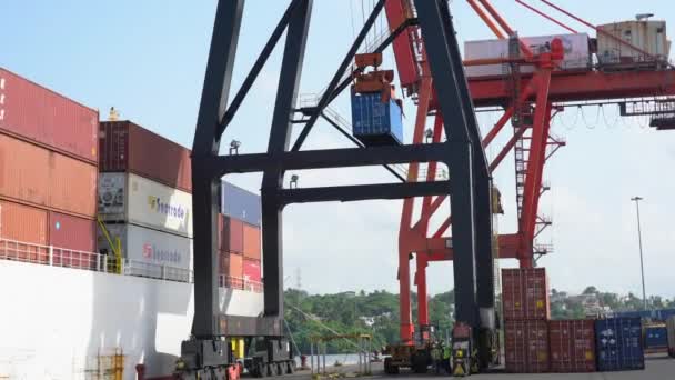 Stacking Cranes Containers Action Haina Commercial Port Dominican Republic — Stock Video