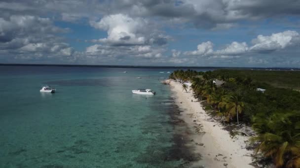 Tropical White Sandy Beach Catalina Island Dominican Republic Aerial Forward — Stock Video