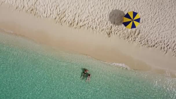 Повітряний Верх Над Двома Людьми Купається Морських Водах Острова Каталіна — стокове відео