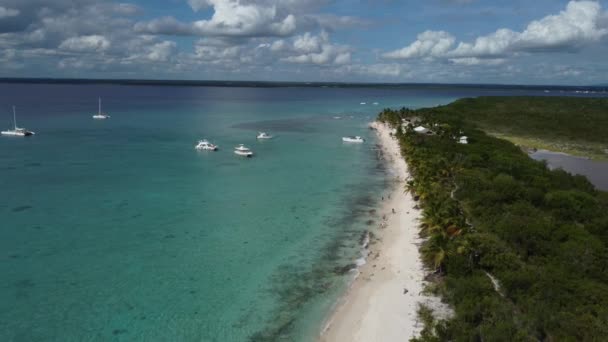Spiaggia Dell Isola Tropicale Catalina Romana Repubblica Dominicana Retromarcia Aerea — Video Stock