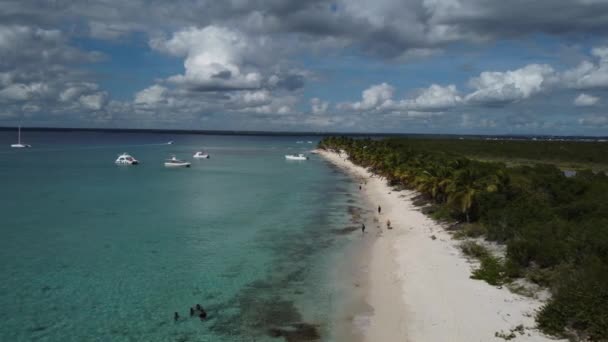 Pessoas Andando Praia Branca Ilha Catalina Romana República Dominicana Anteprojecto — Vídeo de Stock