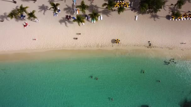 Vista Aerea Dall Alto Verso Basso Statica Sulla Spiaggia Bianca — Video Stock