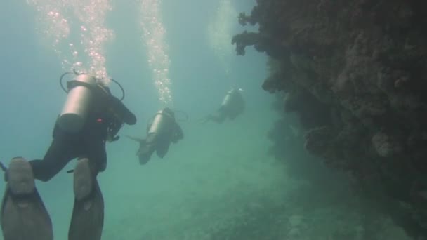 Підводний Знімок Водолазів Плавають Близько Великої Коралової Структури — стокове відео