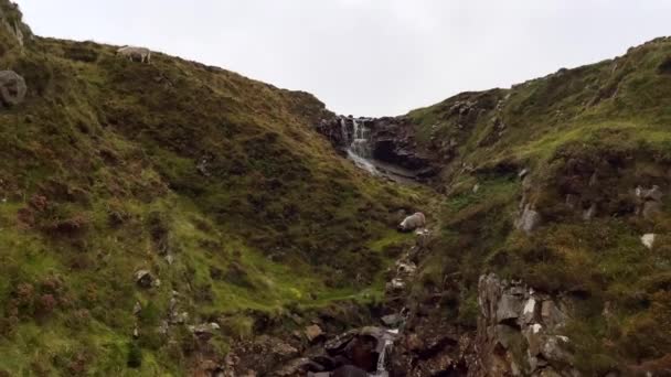 Powoli Płynący Wodospad Zielonych Górach Wypasane Owce Wzgórzu Pochmurny Dzień — Wideo stockowe