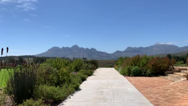 Fynbos Jardín Camino Vinícola Granja Vistas Montaña Tierras Cultivo — Vídeo de stock