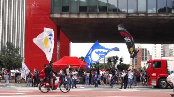 Black Consciousness Ousness Sao Paulo Brazil People Flags Avenue Paulista — 图库视频影像