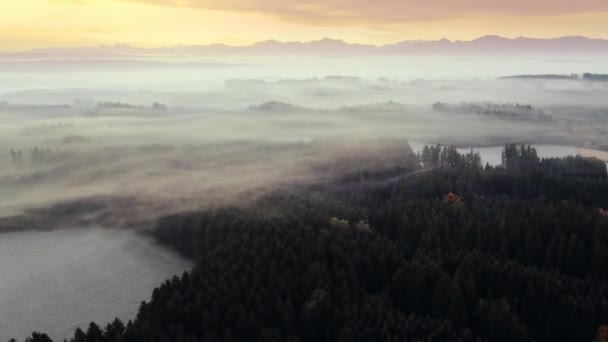 Beautiful Smooth Aerial Drone Shot Forest Misty Clouds Foreground Trees — Stock Video