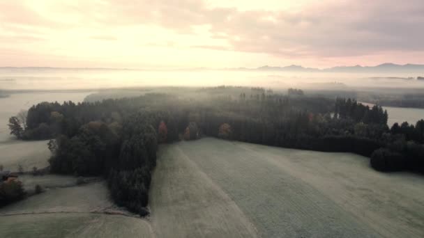 Létání Směrem Malému Lesu Mlhou Nad Stromy Prázdnými Poli Popředí — Stock video