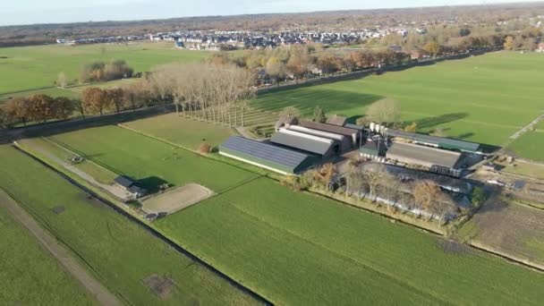 Egy Farm Felé Repülnek Ahol Napelemek Vannak Pajta Tetején Hollandiában — Stock videók