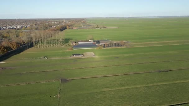 Ángulo Alto Aérea Una Granja Distante Rodeada Prados Verdes Región — Vídeo de stock