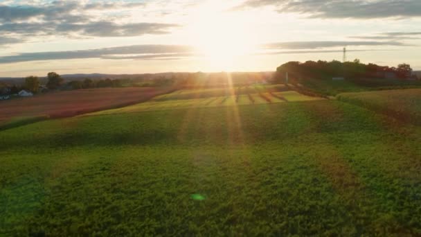 Dolly Antena Delantera Cálido Atardecer Verano América Rural Campo Heno — Vídeo de stock