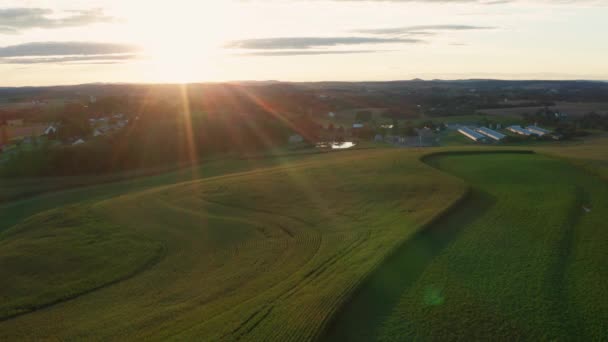 Campos Verdes Verano Órbita Aérea Amanecer Atardecer Agricultura Contorno Evita — Vídeos de Stock