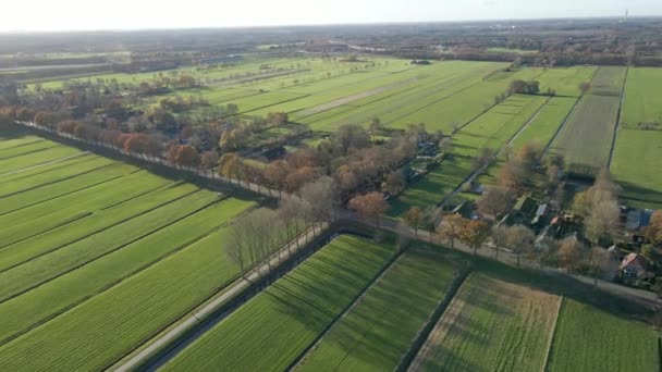 Vue Aérienne Une Route Animée Dans Une Ville Rurale Entourée — Video