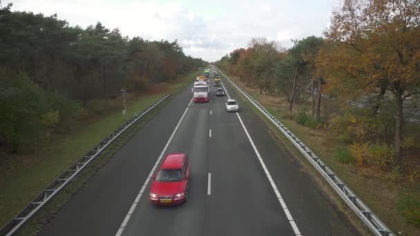 Autopista Asfalto Forrada Con Árboles Colores Otoñales Concepto Tráfico Diurno — Vídeo de stock