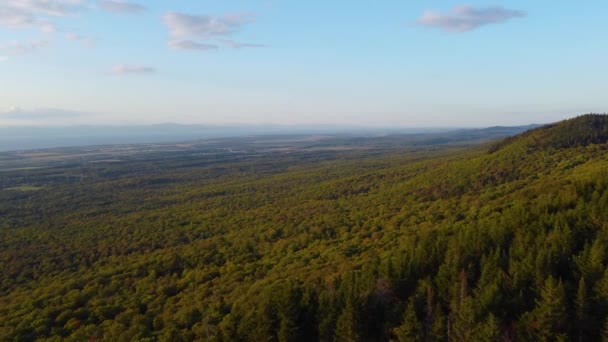 Καναδάς Mountainside Lush Forest Foliage Εναέρια Copy Space — Αρχείο Βίντεο