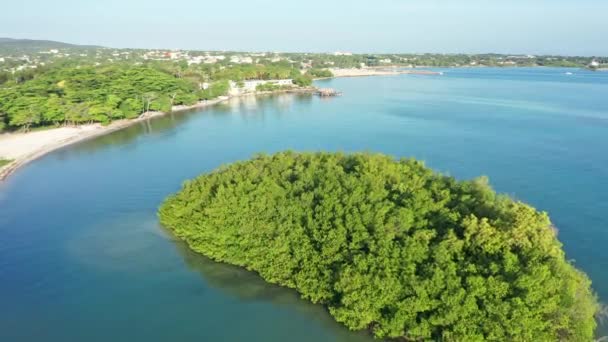 Isola Verde Crescita Aerea Circondata Dal Mar Dei Caraibi Durante — Video Stock